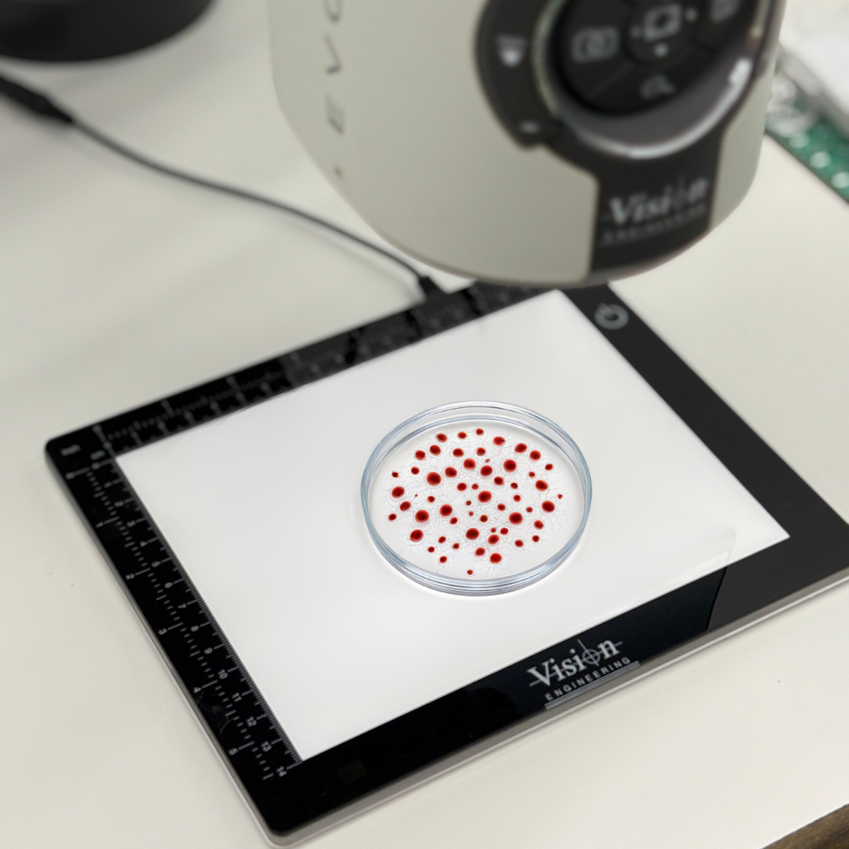 Ultra thin dimmable LED Light Pad